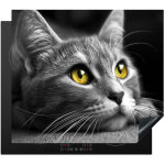 Protection plaque induction chat - gris - animaux - chat protection vitroc�ramique pour cuisiniere 58. ...