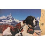 Kokoon waves protect - protge - cb montagne st bernard