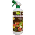 Purin quatro fougres orties consoude prle pae 1l star jardin