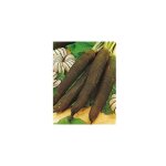 Radis noir gros long hiver de paris - 10 g - 6  8 semaines