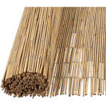 Randaco canisse en roseau 180 � 600 cm, brise - vue naturel grande surface