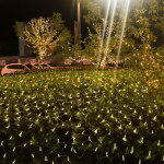 Randaco led lumire net dcoration rideau guirlande lumineuse clairage 8 modes ip44 fte de nol extrieur ...