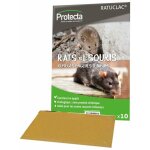 Rats souris pack 10 pieges englues - protecta