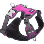 Red dingo - harnais chien rembourr� rose taille : t3