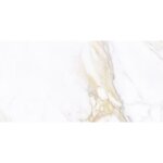 Rflex boutique - carrelage sol et mur effet marbre brillant hotel luxe gold poli 60x120 cm