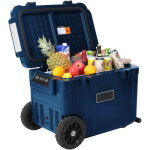 R�frig�rateur de voiture 45l ? double zone ? glaci�re �lectrique puissante ( - 22�c � + 20�c)