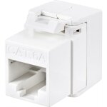 Renkforce réseau informatique adaptateur cat 6a a836772 Renkforce réseau informatique adaptateur cat 6a a836772