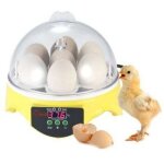 Rhg incubateur automatique pour 7 ?ufs avec contr�le num�rique de la temp�rature - pour �levage de volailles ...