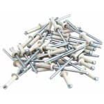 Rivets aveugles rivets pop blanc de plaque d'immatriculation