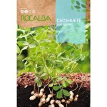 Arachide 10g, pack 5x - rocalba Arachide 10g, pack 5x - rocalba