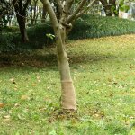 Rouleau de jute 0, 25x50 m 100 % jute 200 g / m�