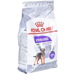Royal canin - ccn mini sterilized - nourriture sche pour chien adulte - 3kg