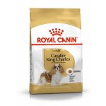 Croquettes royal canin cavalier king charles : 1, 5 kg Croquettes royal canin cavalier king charles : 1, 5 kg