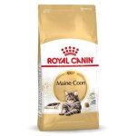 Royal canin - fbn maine coon nourriture sche pour chat adulte - 10kg