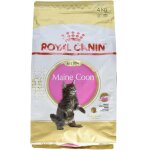 Royal canin - maine coon kitten chats nourriture s�che volaille, riz 4 kg