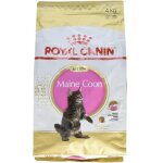 Royal canin - maine coon kitten chats nourriture s�che volaille, riz 4 kg