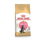 Royal canin - nourriture que kitten maine coon pour chatons - 10kg