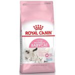 Royal canin - mre & nourriture sche pour chats babycat 4 kg adulte volaille