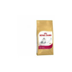 Royal canin - nourriture que persian pour les chats persean adultes - 400g