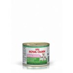 Royal canin starter mousse - nourriture pour chiots et mères Royal canin starter mousse - nourriture pour chiots et mères