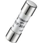 Cartouche fusible rs pro 30a, 10 x 38mm, type gpv, 600v ( prix pour 1 )