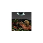 Classics - moulin  poivre et  sel lectrique (systme de broyage en cramique, acier inoxydable, gris ...