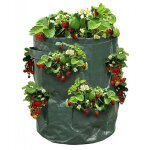 Sac à fraisiers - sac de plantation pour fraises - x2 Sac à fraisiers - sac de plantation pour fraises - x2