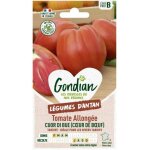 Sachet graines tomate cuor di bue ( coeur de boeuf ) gondian