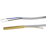 Sonde d'immersion kvt20 / 2 / 6, pour rgulations ebv