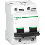 Schneider electric - disjoncteur c120h 2 p�les 125 a courbe c 15 ka schneider a9n18459