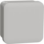 Schneider electric - boîte de dérivation face lisse 80 x 80 x 45 mm en saillie Schneider electric - boîte de dérivation face lisse 80 x 80 x 45 mm en saillie