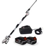 Scie  ebrancher taille haies sur perche 20v xperformer xp2psth20li - outil portatif 2 batteries 4ah ...