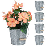 Seau m�tal en lot de 5, petit pot � fleurs zinc pour cuisine, balcon et jardin, avec anse, d�coration, ...