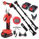 S�cateur �lectrique sans fil 2 - en - 1 avec perche t�lescopique 228. 6cm, moteur brushless cuivre 300w, ...