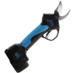 S�cateur �lectrique sans fil campagnola speedy