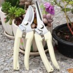 Deesse shop - s�cateur de jardinage � main pour bonsa�, ciseaux de jardin de haute pr�cision avec lame ...