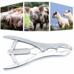 Senderpick - pince  castration en acier inoxydable avec 100 anneaux en caoutchouc pour l'courtage de ...