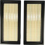Set de 2x filtres d'aspirateur compatible avec festool fe - vcp 300 l + m aspirateur - filtre principal, ...