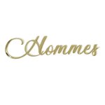 Signaletique. biz france - plaque de porte wc, wc hommes, wc femmes. - plexi miroir or - hommes