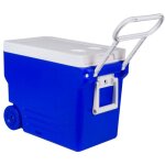 Sjlerst rfrigrateur pour camping - car 32 l, pour pique - nique, barbecue, plats  emporter (bleu sans ...