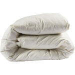 Someo - couette confort duvet de canard 200x200