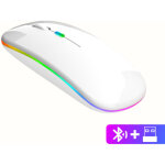 Souris bluetooth sans fil double mode pour appareils apple : silencieuse, rechargeable, id�ale pour une ...