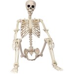 Squelette humain d'halloween de 40 cm avec articulations mobiles, mod�le de squelette en plastique simulant ...