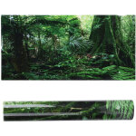 Sticker adh�sif terrarium for�t tropicale - fond d�coratif 122x46 cm pour reptiles et aquarium