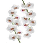 Sticker autocollant grand format 68 cm x 48 cm - photo de fleurs d'orchid�es blanches et roses - d�coration ...