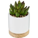 Atmosphera - succulente artificielle pot c�ramique h12cm cr�ateur d'int�rieur