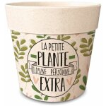 Cache pot en bambou la petite plante