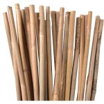 Suinga - pack de 25 tuteurs en bambou 180 cm (12 - 14 mm) tiges de bambou pour plantes et arbres tuteurs ...