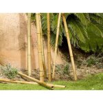 Lot de 4 tuteur d�coratif bambou 180 cm, 35 / 40mm . tuteurs ronds en bois, piquets de jardin, s�paration ...