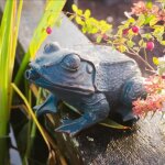 Sujet cracheur d'eau grenouille s Sujet cracheur d'eau grenouille s